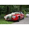 Available: Lancia Flavia Zagato